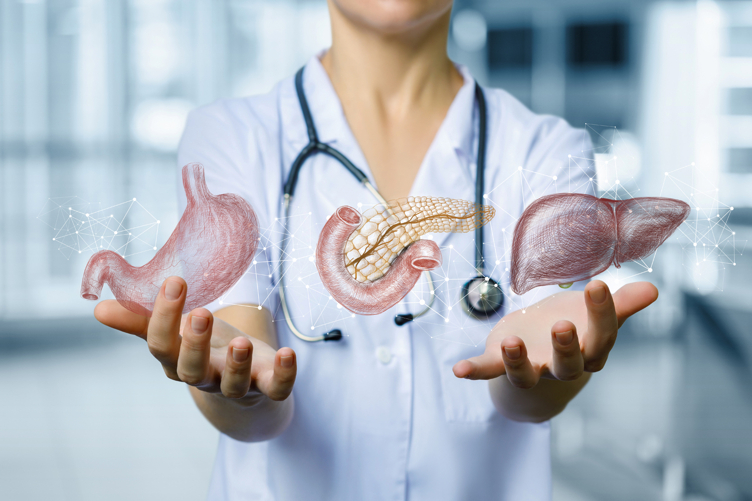 UN METABOLISMO SANO NECESITA SUFICIENTES ENZIMAS