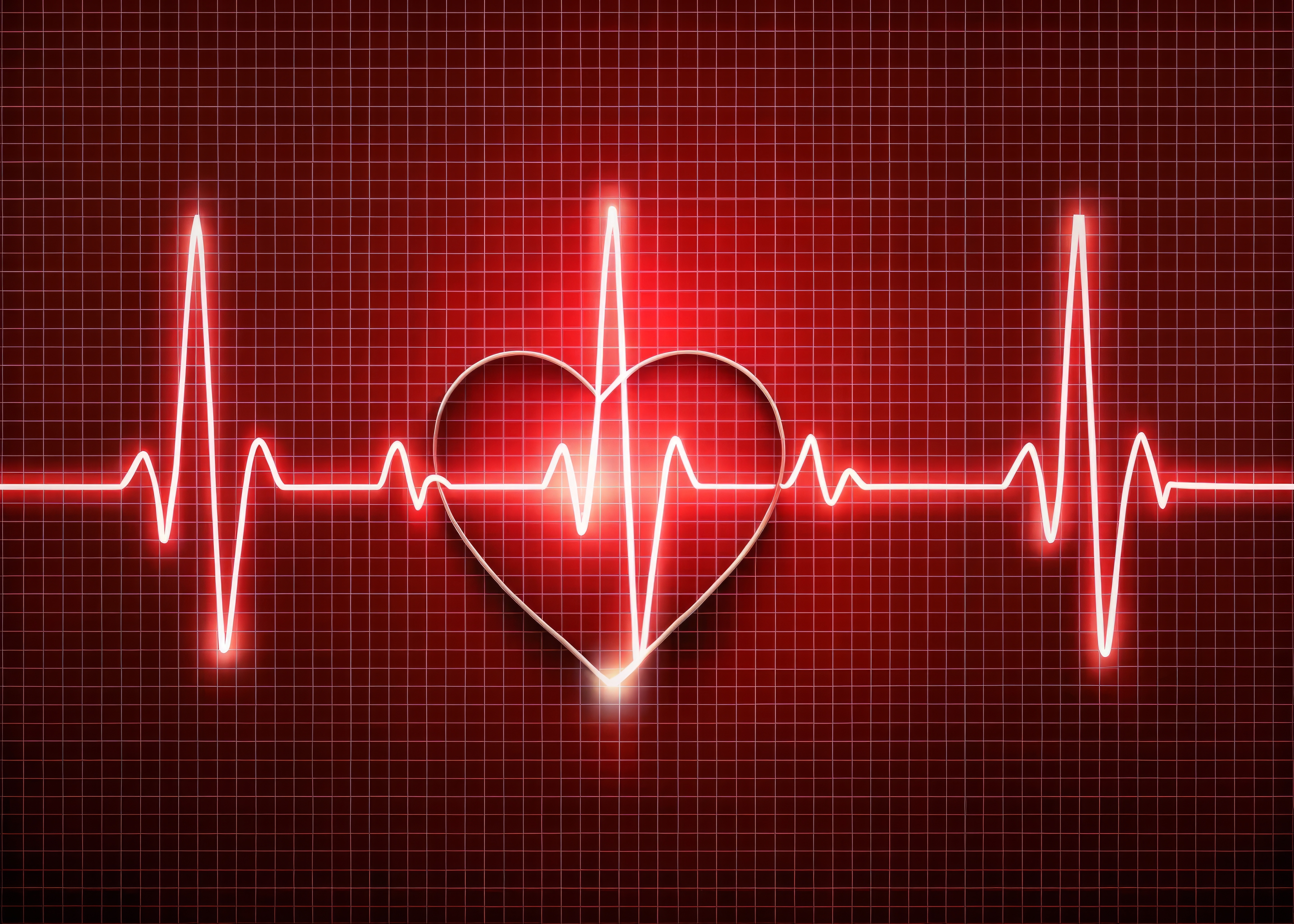 Q10 – la sustancia del Premio Nobel